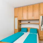 Apartment Ruzica *